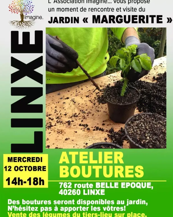 12 octobre 2022 - Atelier Boutures